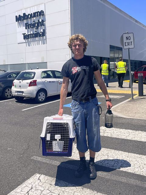 The family got their cat back at Melbourne Airport after an epic journey (Margo Neas via AP)