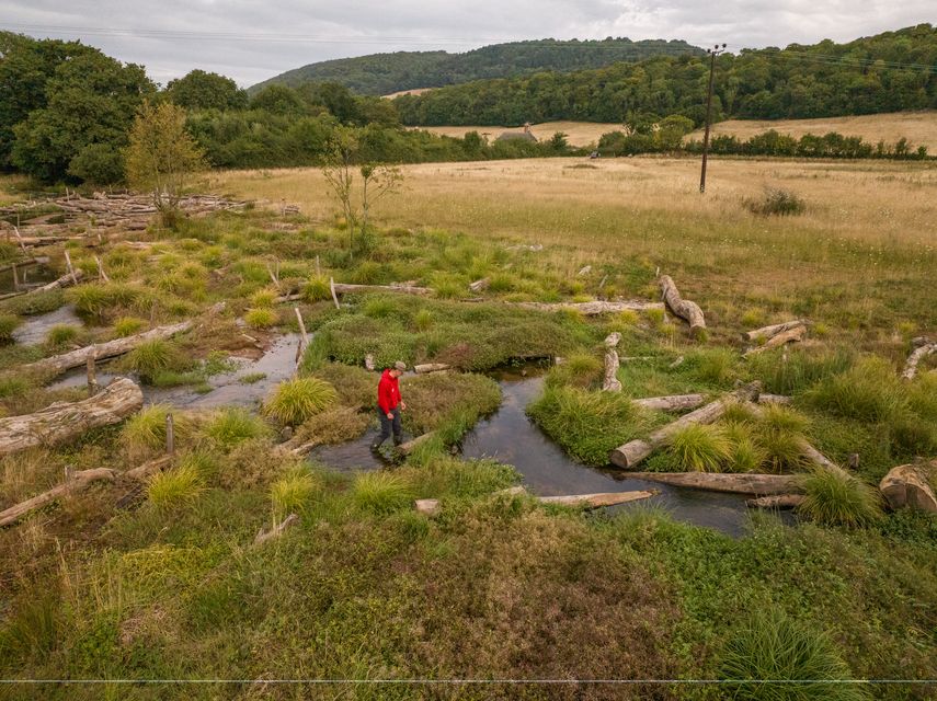 A National Trust ranger stands in the new wetland at Holnicote’s river restoration project (PA)