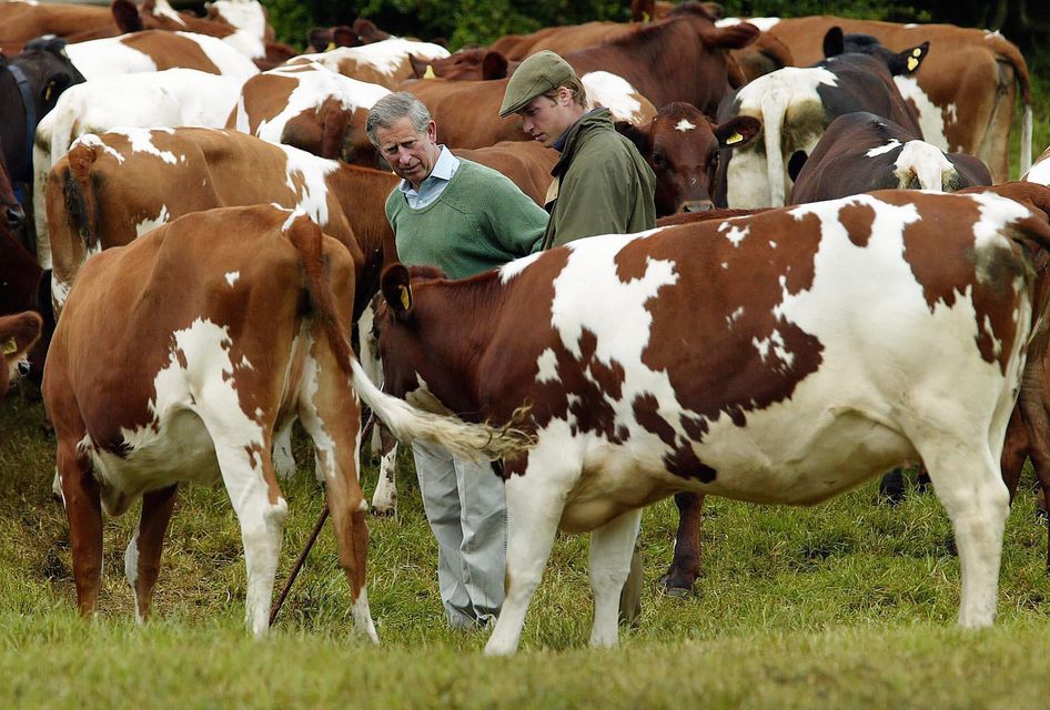 Charles and William inspect a royal herd of Ayrshire dairy cattle on Duchy land in 2004 (Chris Ison/PA)