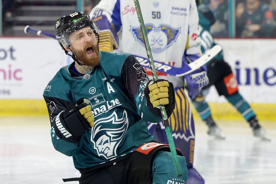 Latest Belfast Giants News