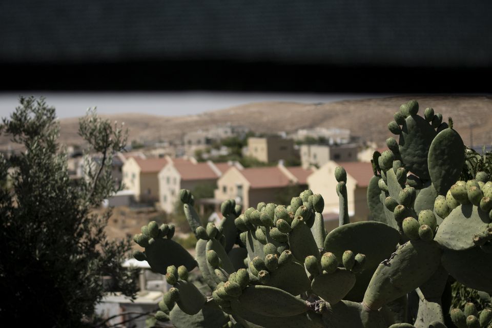 Homes from the Israeli settlement of Carmel near the West Bank village of Umm al-Khair (Maya Alleruzzo/AP)