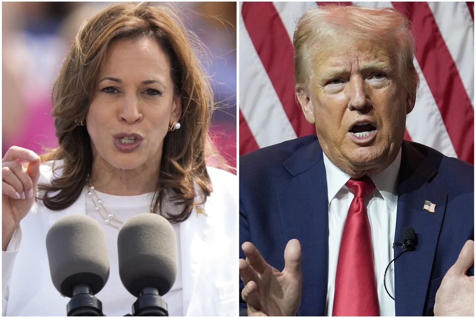 Kamala Harris and Donald Trump will vie for the presidency (AP)