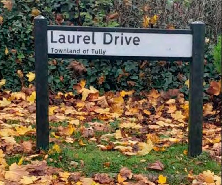 Other street signs correctly identify "Laural Drive" as being "Laurel Drive". Credit: Mid Ulster District Council