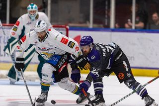 Latest Belfast Giants News