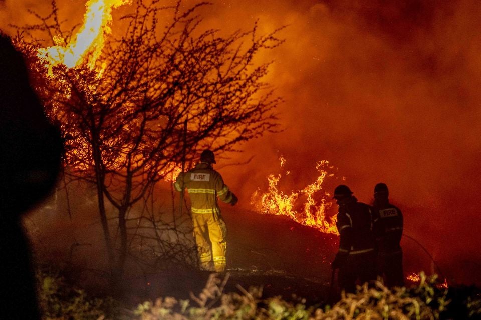 Firefighters battle a major gorse fire on the Black Mountain in Belfast on April 8th 2025 (Photo by Kevin Scott)