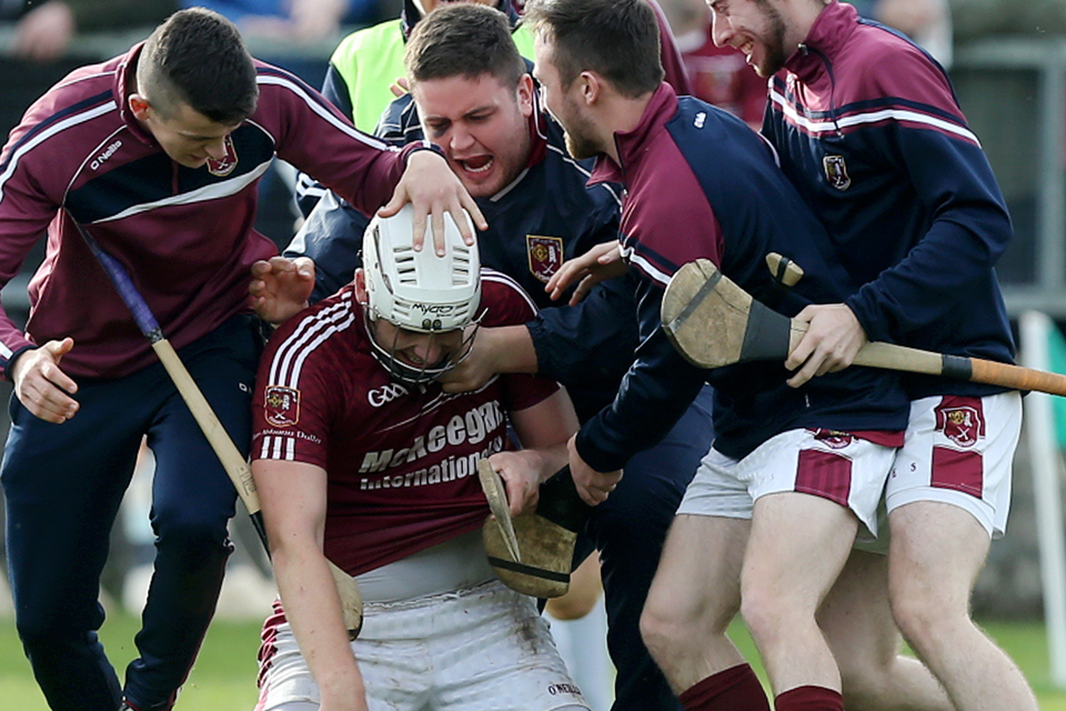 Tributes to triumphant hurling team and manager