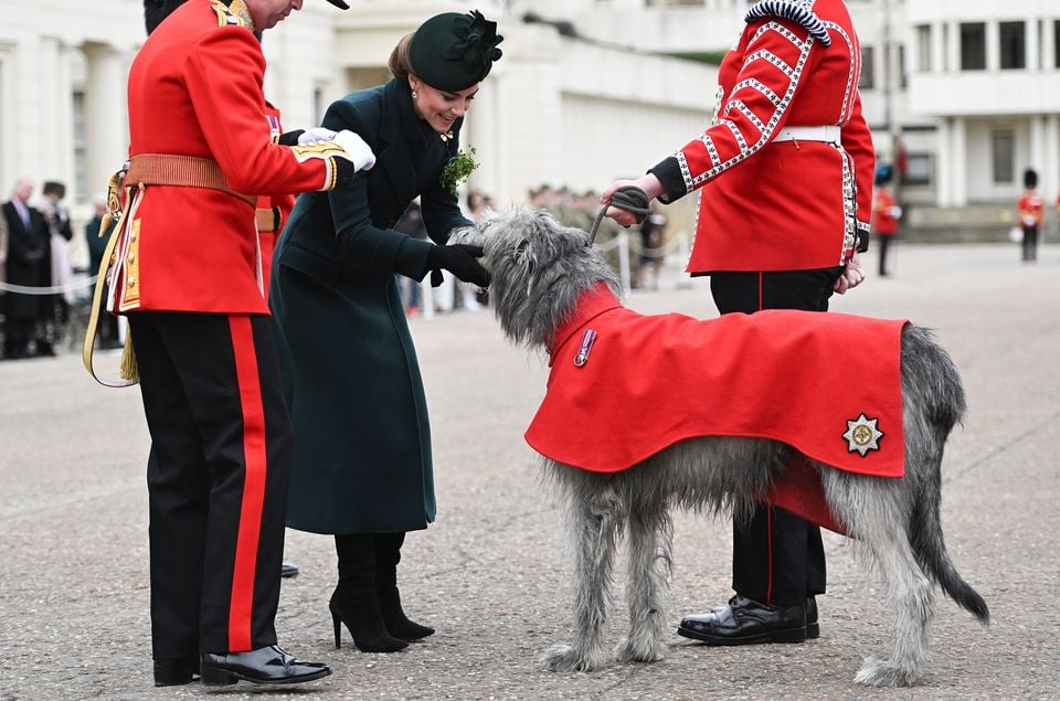 Kate meets regimental mascot Turlough Mor and his handler, Drummer Joseph Aldridge (Eddie Mulholland/Daily Telegraph/PA)