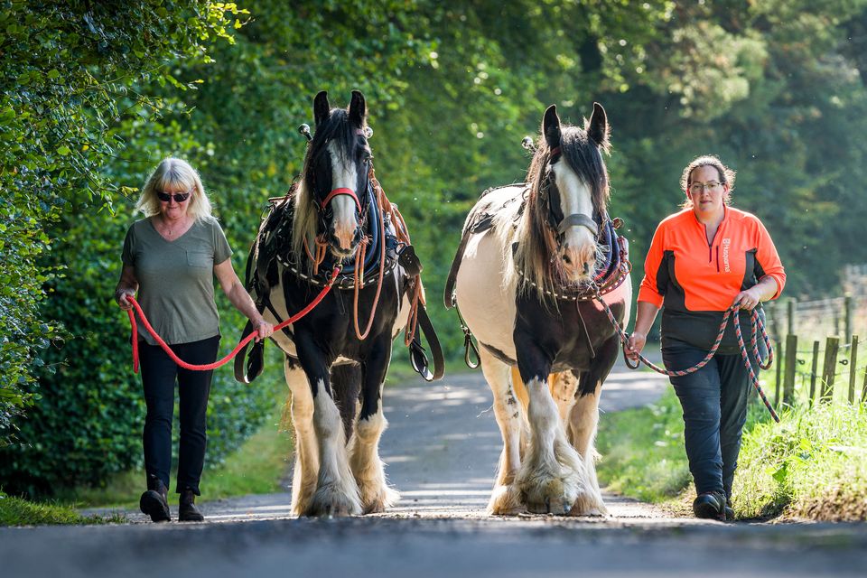 Annie Hutchison and Angie Smith with horses Eli and Luke (Craig Stephen/PA)