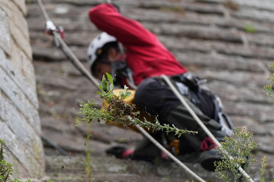 The abseiling specialists are trained to work at height (Jacob King/PA)