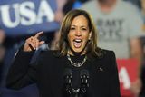 US Election 2024: Harris To Work The Phones Until Polls Close Saying ...