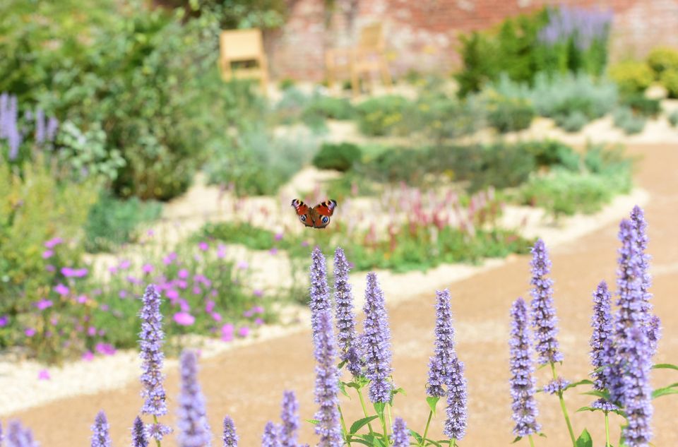 The new Mediterranean Garden contains many plants for pollinators (National Trust/PA)