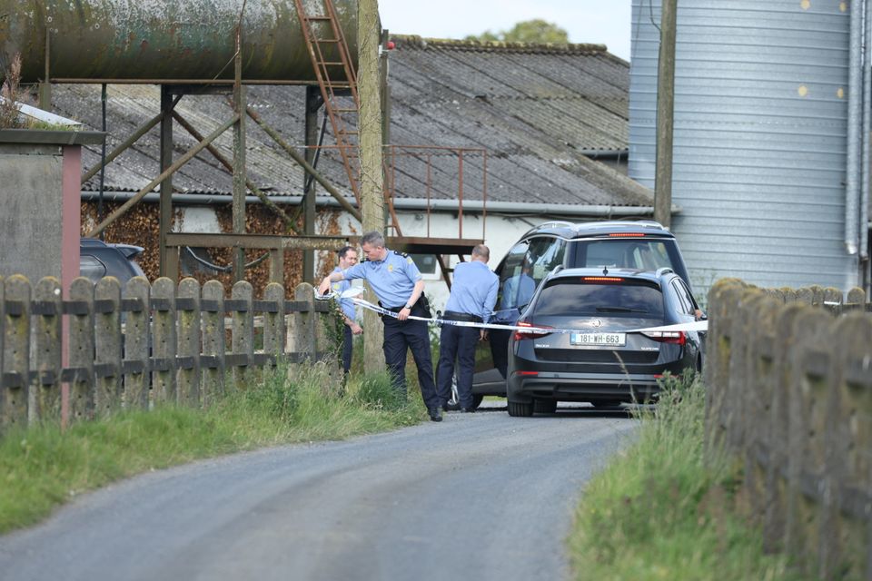 Emergency services and a hearse at the crash site in Westmeath. Photo: Collins.