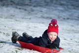 thumbnail: Press Eye Belfast - Northern Ireland 10th December 2017

Four-year-old Noah Adams enjoys the snow at Stormont in east Belfast as it continues to lie across Northern Ireland.

Picture by Jonathan Porter/PressEye.com