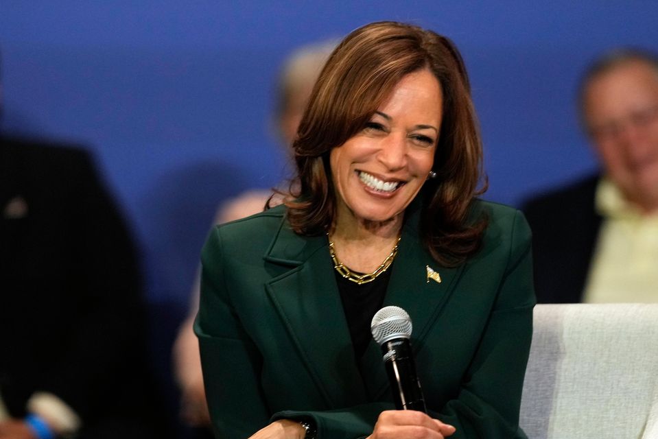 Democratic presidential nominee Vice President Kamala Harris has also been targeted, the intelligence officer said (Morry Gash/AP)