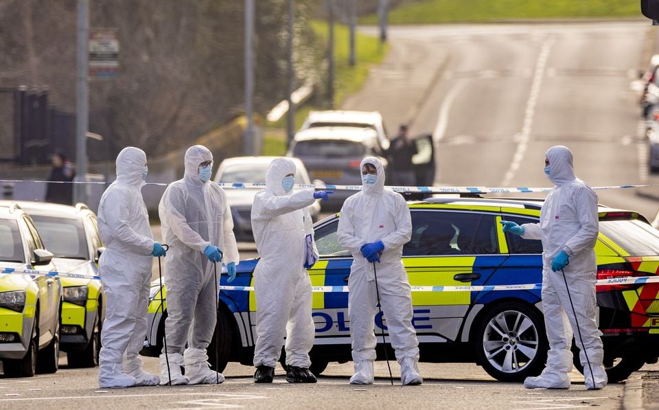 Specialist search teams sweep the Bell Steel Manor area of west Belfast following the murder bid     (Kevin Scott)