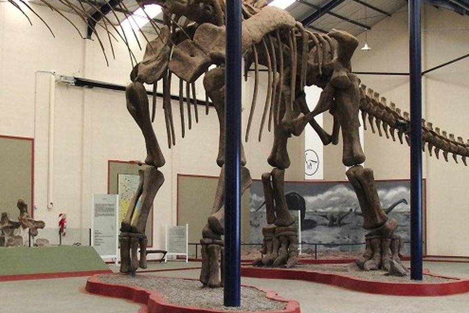 Giant steps of 80-tonne dinosaur | BelfastTelegraph.co.uk