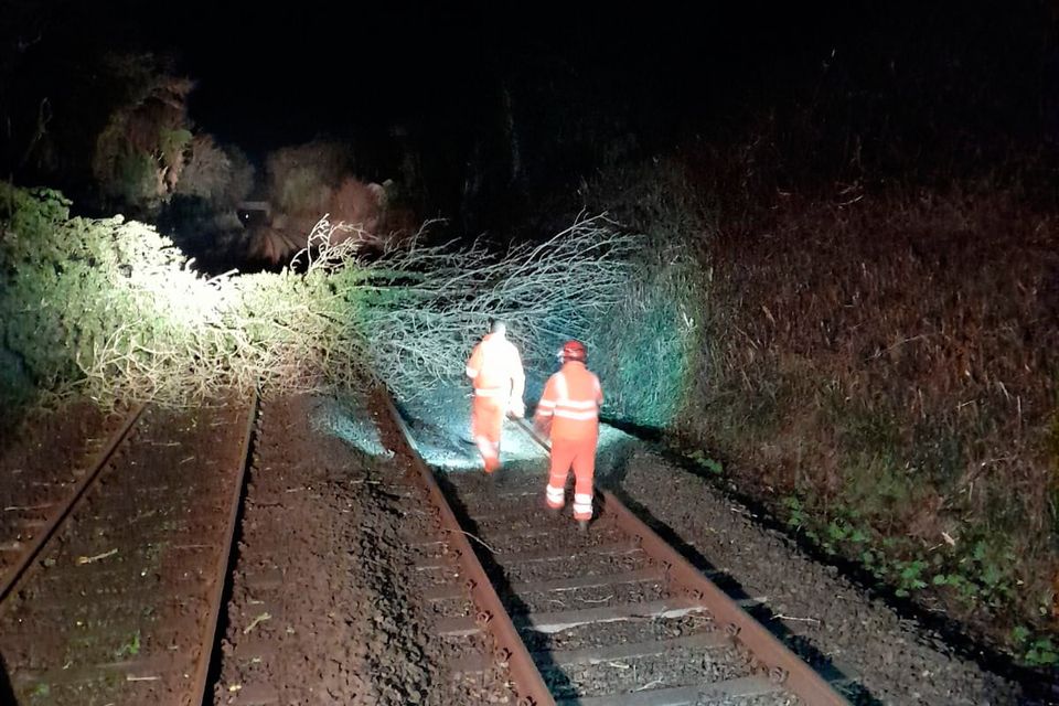 A tree down across a railway line