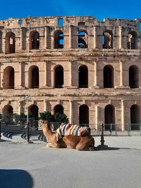 The Amphitheatre of El Jem