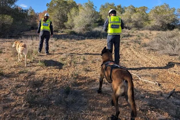 Brother of Belfast man missing in Spain makes appeal to find body