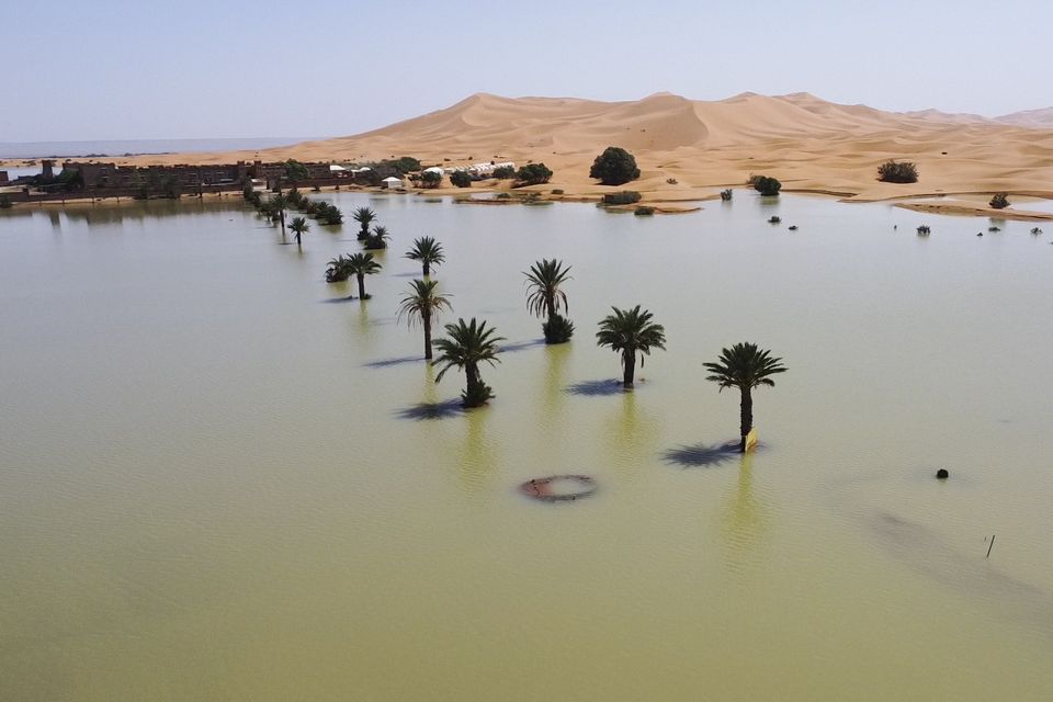 Palm trees flooded in a lake caused by heavy rain in the desert town of Merzouga in south-eastern Morocco (AP)