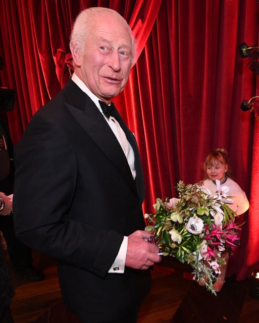 The King at the Gladiator II premiere (Eddie Mulholland/The Telegraph/PA)