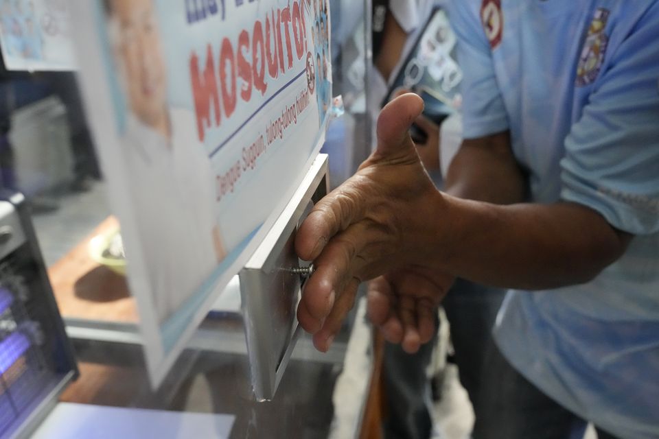 A captured mosquito is transferred to a glass enclosure with a UV light trap in Mandaluyong City (Aaron Favila/AP)