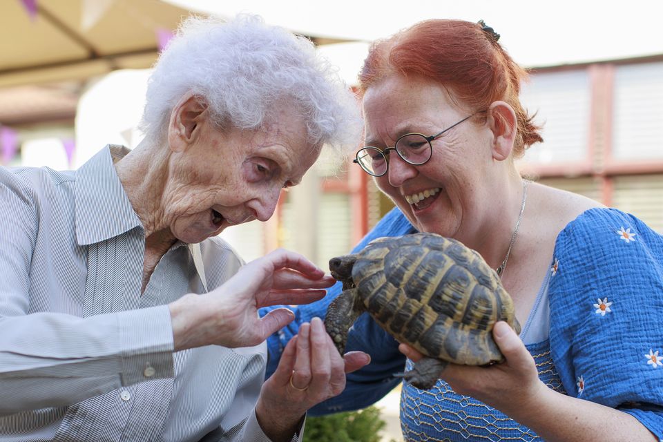 Animal whisperer Catherine Hoy (right) shows Seapatrick Care Home resident Celine Mushroom a turtle during a pet therapy session at the Banbridge home in September (Liam McBurney/PA)