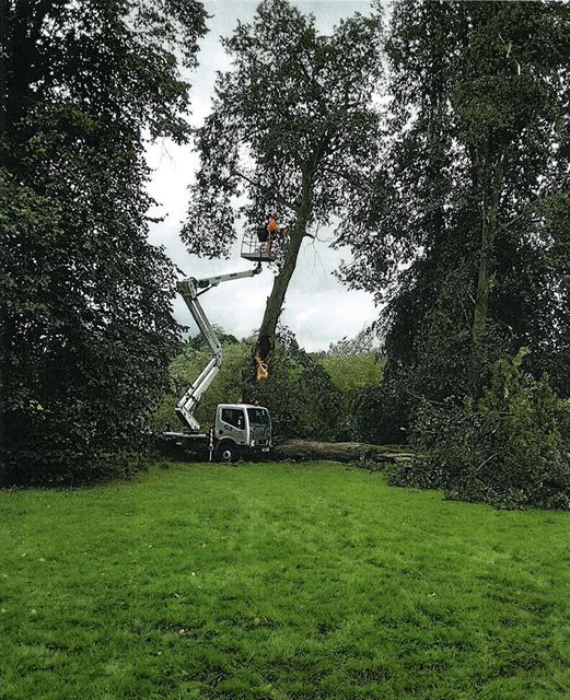 Workmen in the area in The Carrs, a woodland area in Wilmslow, Cheshire where Chris Hall was hit by a limb of a tree (HSE/PA)