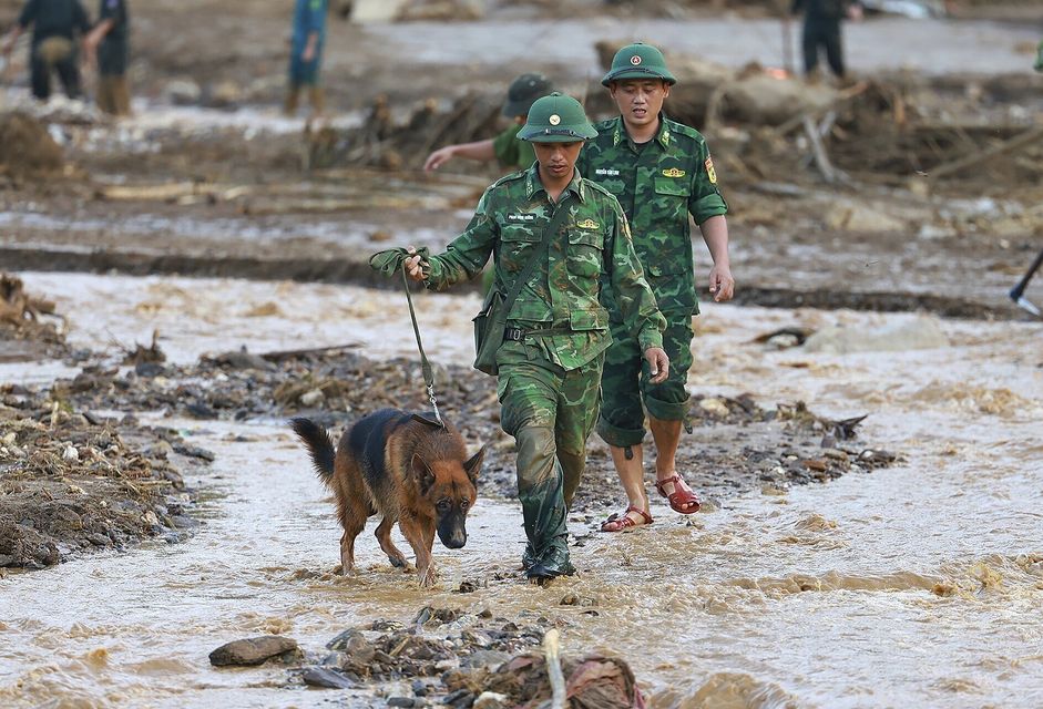 Rescue workers and a sniff dog search for the missing in Lao Cai province (Duong Van Giang/VNA/AP)