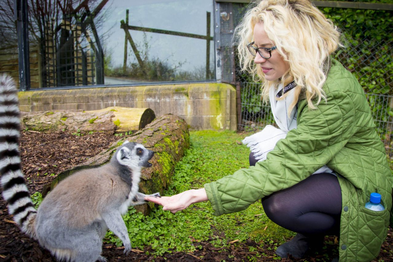 Belfast Zoo manager Alyn Cairns: 'Who in their office environment can ...