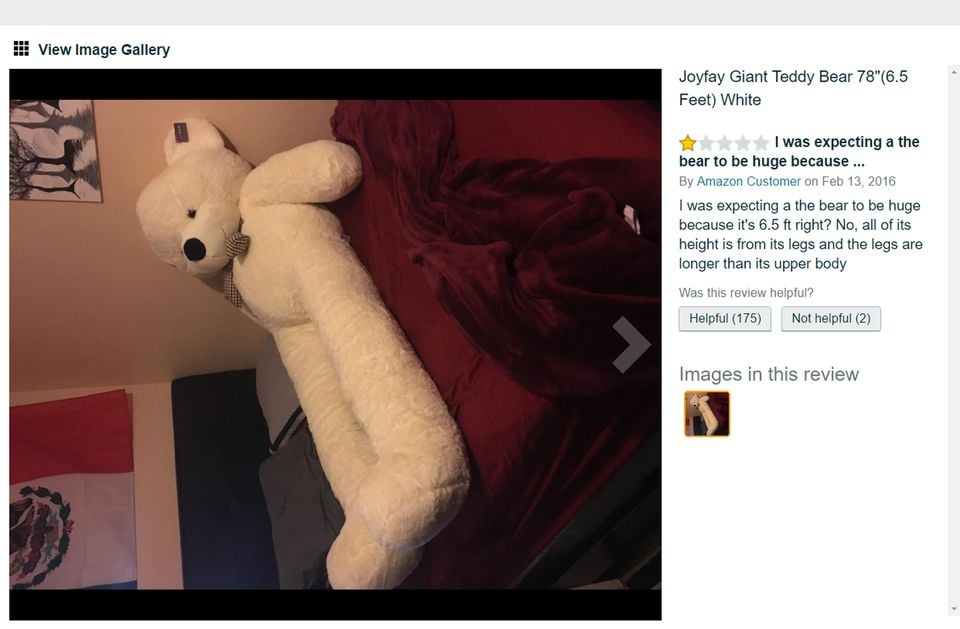 Viral Teddy Bear on  Has Enormous Legs