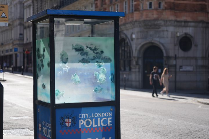 New swimming fish design on London police box thought to be latest Banksy