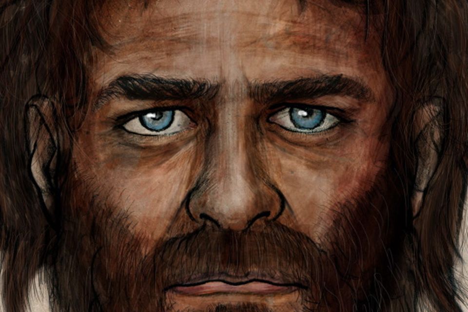 Mesolithic man reveals origins of blue eyes, lactose intolerance