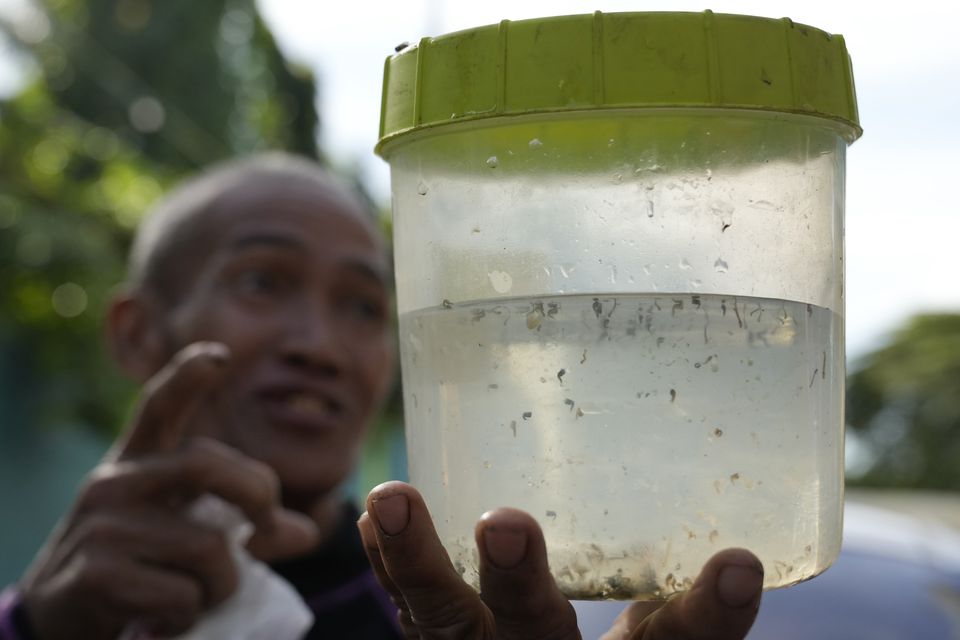 Miguel Labag said his reward for catching mosquito larvae was ‘a big help’ (Aaron Favila/AP)