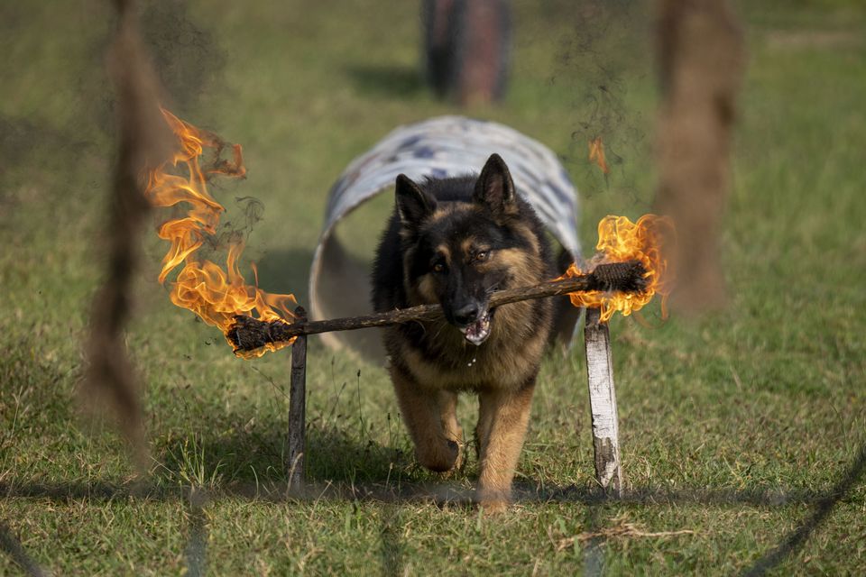 (Niranjan Shrestha/AP)