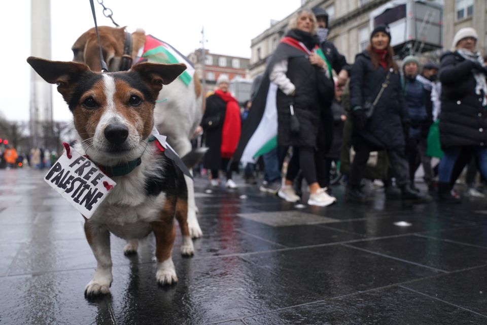 A dog called Buster joined protesters from the Ireland-Palestine Solidarity Campaign on a march in O’Connell Street, Dublin, in January (Brian Lawless/PA)