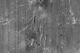 thumbnail: This composite image, released by RMS Titanic Inc., and made from sonar and more than 100,000 photos taken in 2010 from by unmanned, underwater robots, shows a small portion of a comprehensive map of the 3-by-5-mile debris field surrounding the stern of the Titanic on the bottom of the North Atlantic Ocean.