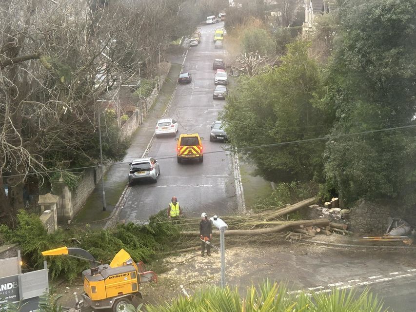 Workers survey a fallen tree blocking Cecil Road in Weston-super-Mare (Rob Palfrey/PA)