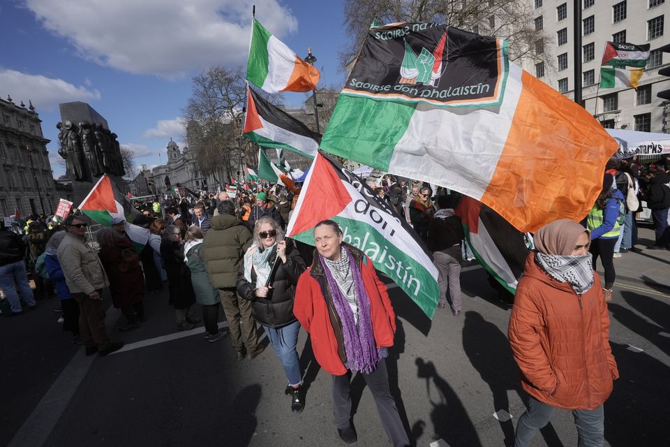 People take part in a pro-Palestine march in central London (Stefan Rousseau/PA)