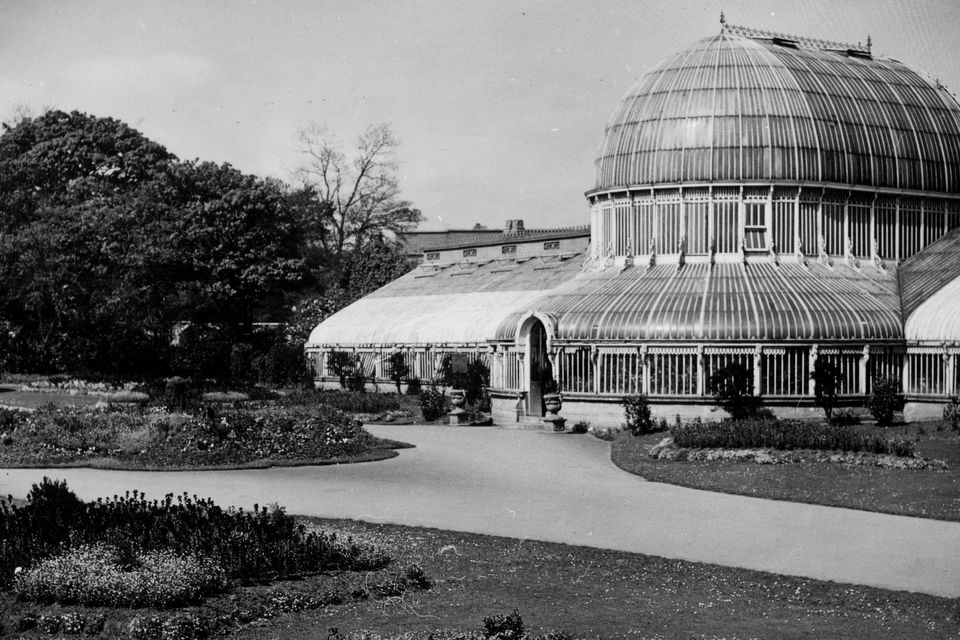 The Palm House in Botanic Gardens, Belfast.  7/5/1946
BELFAST TELEGRAPH COLLECTION/NMNI