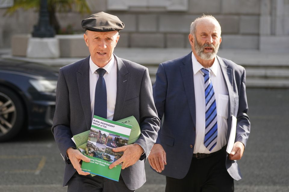 Michael and Danny Healy-Rae at Leinster House (Brian Lawless/PA)