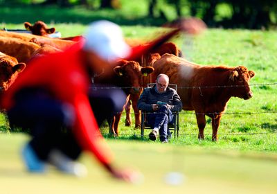 Farmer watching golf new arrivals