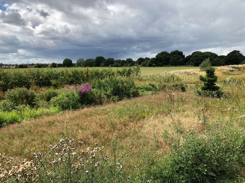 Councils are being encouraged to let grass grow long and manage 30% of public land for nature (Emily Beament/PA)