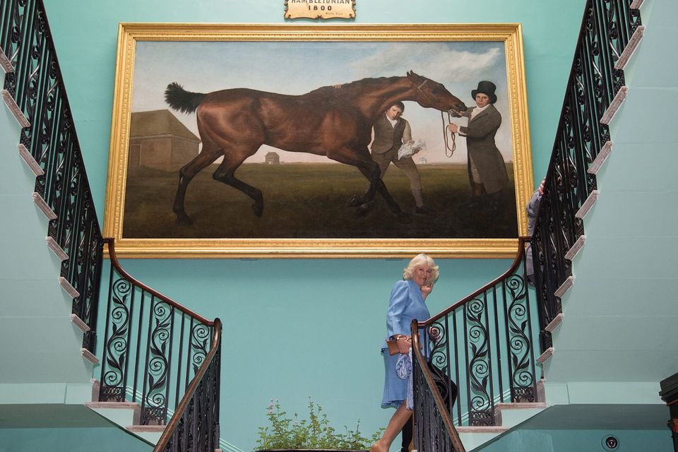 ANTRIM, NORTHERN IRELAND - MAY 22:  Camilla, Duchess of Cornwall with the famous "Hamiltonian" by George Stubbs as she visits Mount Stewart House and Garden on May 22, 2015 in Newtownards, Northern Ireland. Prince Charles, Prince of Wales and Camilla, Duchess of Cornwall visited Mount Stewart House and Gardens and Northern Ireland's oldest peace and reconciliation centre Corrymeela on the final day of their visit of Ireland.  (Photo by Eddie Mulholland - Pool/Getty Images)