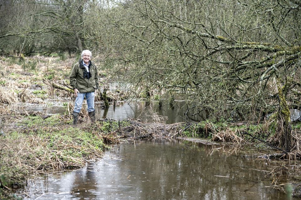 Natural England chairman Tony Juniper next to a dam at the beaver wetlands area near Cullompton, Devon (Ben Birchall/PA)