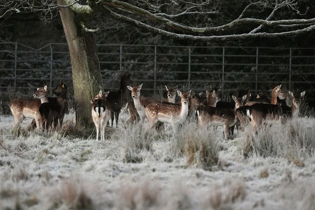 Emergency team meeting as country braces for ‘multi-hazard weather event’