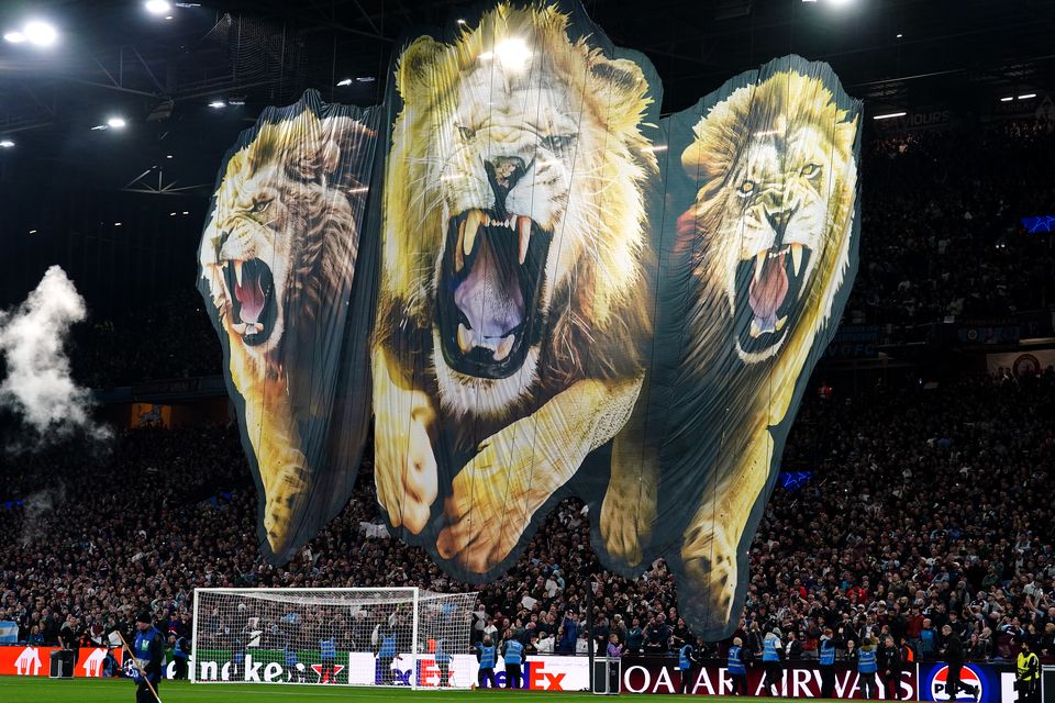 A giant lion banner in the stands at Villa Park (David Davies/PA)