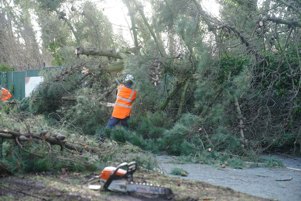 Tree surgeons were dispatched to cut and remove a fallen tree that was blocking a road in Liverpool. (Peter Byrne/PA)