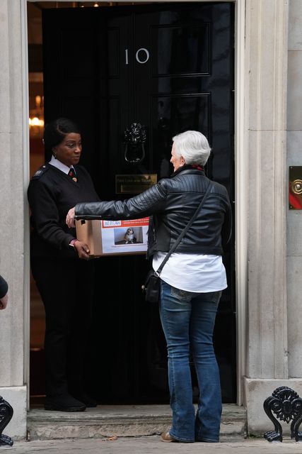 Campaigner Julie Doorne delivers her petition to 10 Downing Street in London (Lucy North/PA)