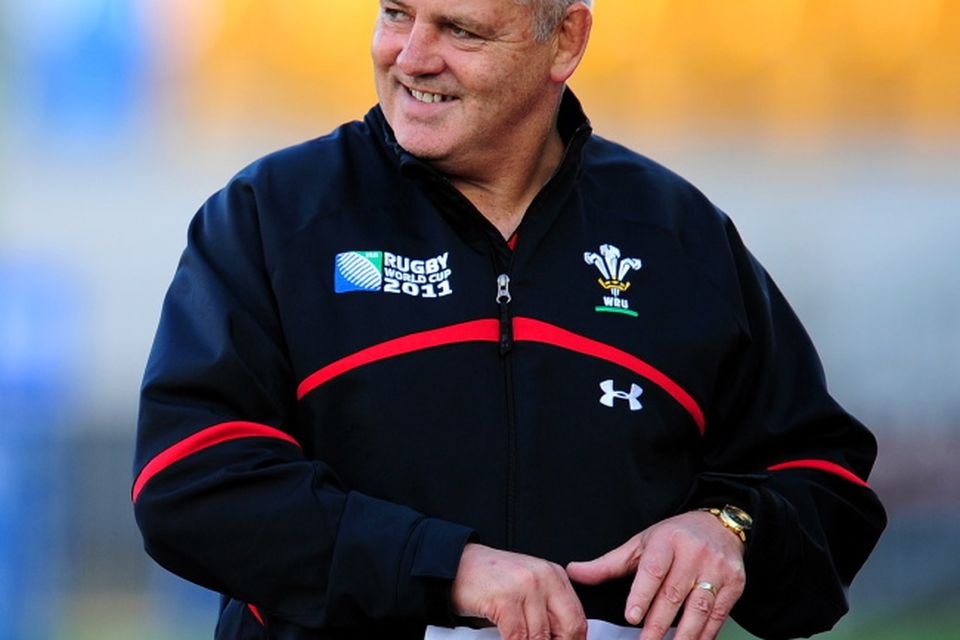 Tyrone Howe: Gatland a great choice for the Lions | BelfastTelegraph.co.uk